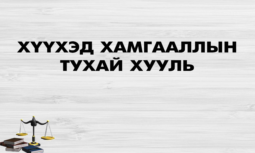 ХҮҮХЭД ХАМГААЛЛЫН ТУХАЙ ХУУЛИЙН ШИНЭЧИЛСЭН НАЙРУУЛГЫН ОНЦЛОХ ЗААЛТУУД