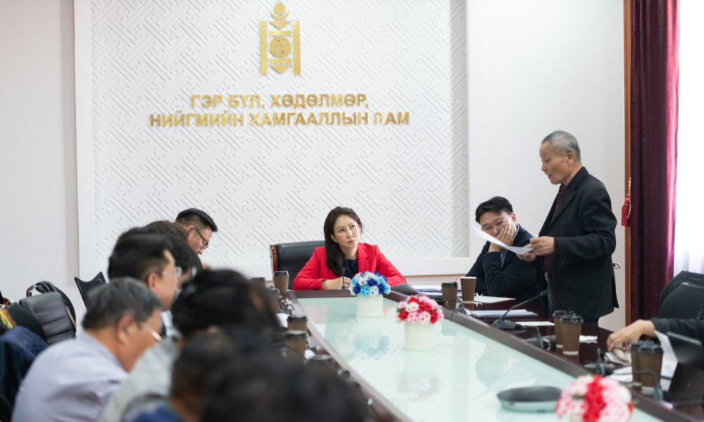 ХҮҮХДИЙН БАЙГУУЛЛАГА, ХӨДӨЛГӨӨН ҮҮСЭЖ ХӨГЖСӨНИЙ 100 ЖИЛИЙН ОЙН НЭГДСЭН АРГА ХЭМЖЭЭГ ЗОХИОН БАЙГУУЛАХ АЖЛЫН ХЭСЭГ ХУРАЛДЛАА