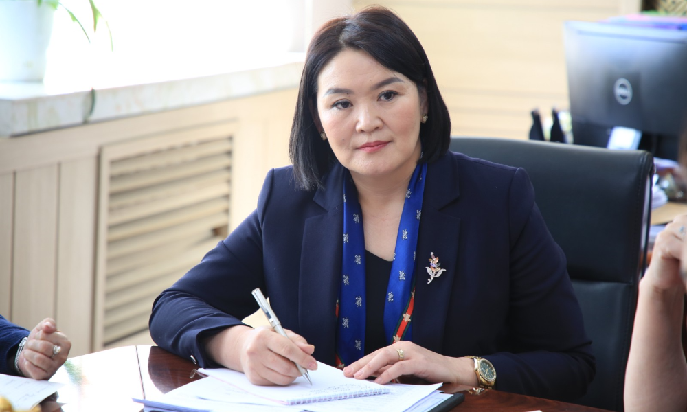 ХҮҮХДИЙН ТӨЛӨӨ ҮНДЭСНИЙ ЗӨВЛӨЛИЙН ГИШҮҮДТЭЙ САНАЛ СОЛИЛЦОХ УУЛЗАЛТ ЗОХИОН БАЙГУУЛЛАА